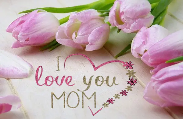 Bellos saludos Día de la Madre para mi Abuela.#SaludosParaDiaDeLaMadreParaMiAbuelita