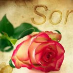 enviar lindas palabras de perdón para mi pareja